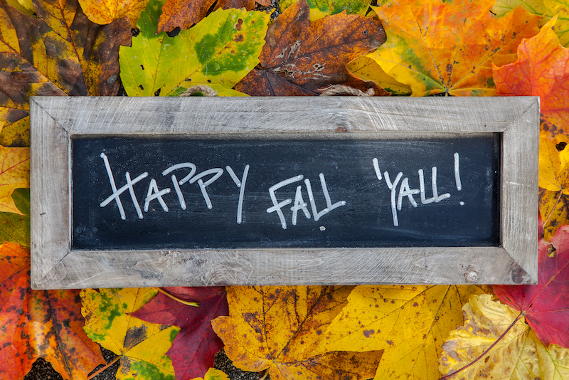Fall Insurance in Florida, and Texas