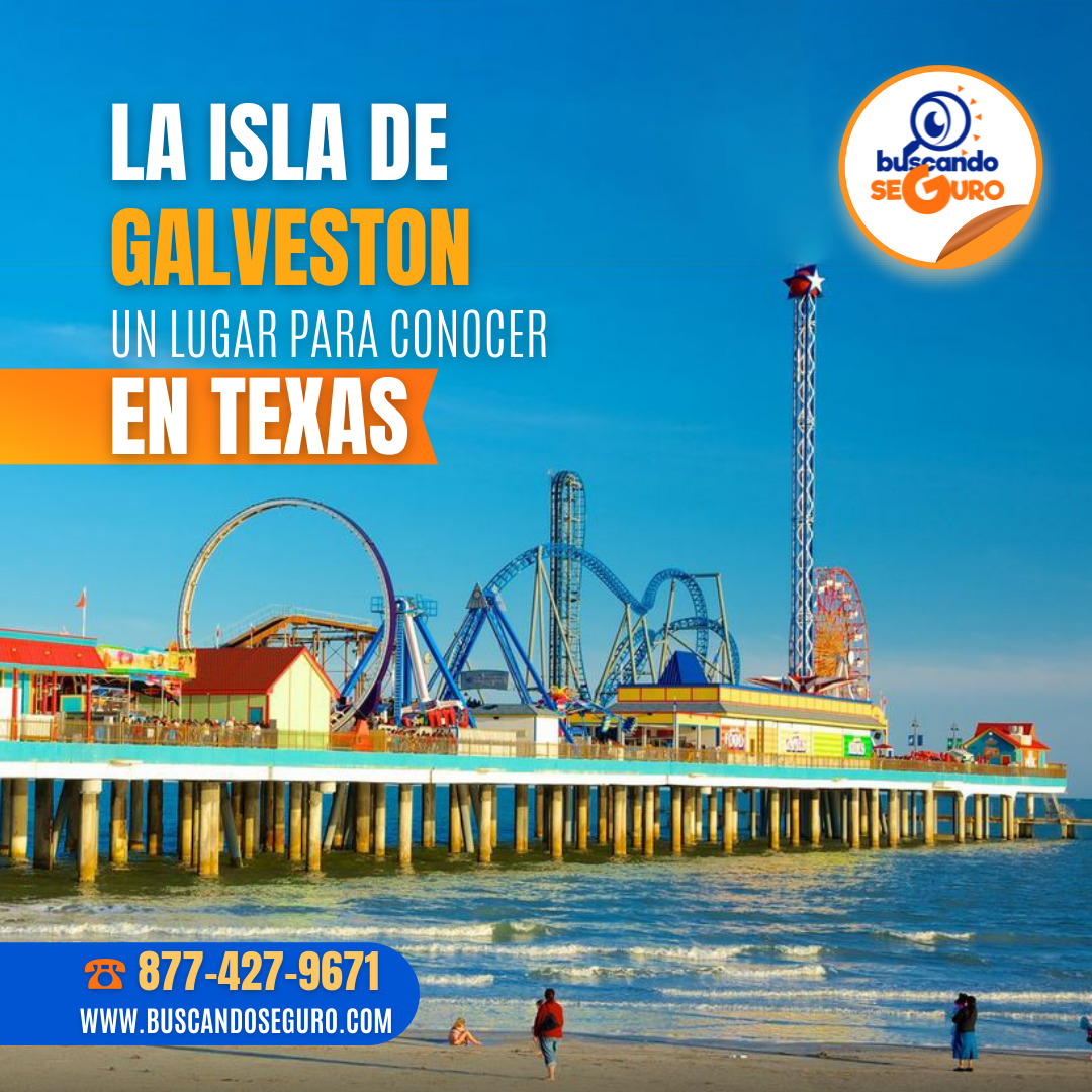 Visita la Isla de Galveston - Buscando Seguro